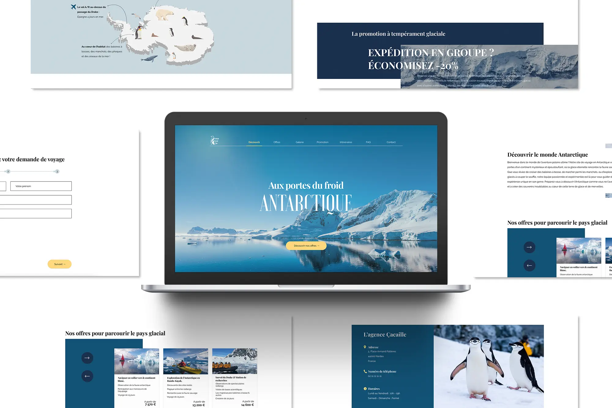 polar and cie antarctique